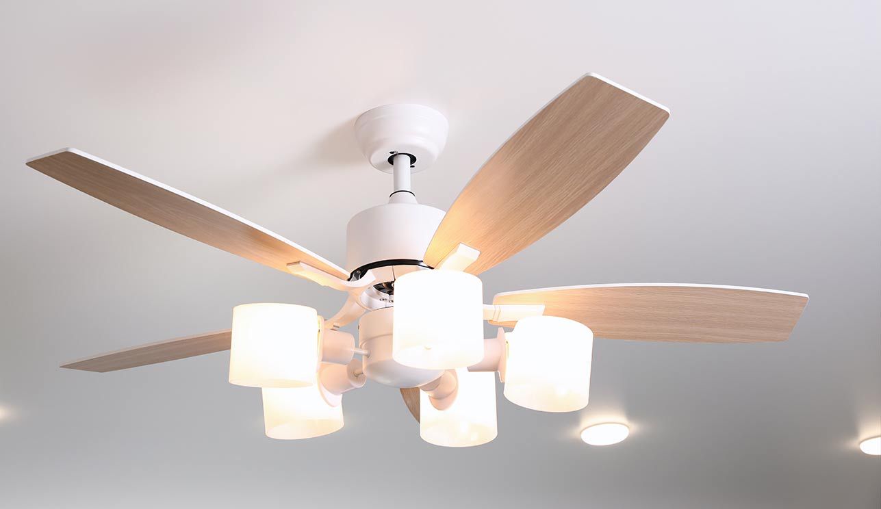 Fans, Lights, Outlets & Electrical Work